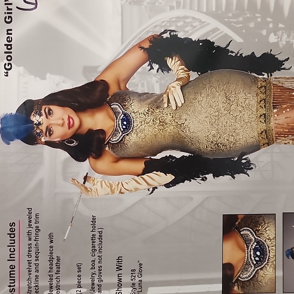 Gold and Black Flapper Costume Dress